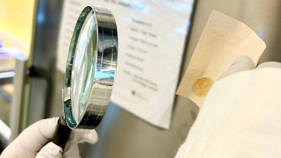 Hand som håller i ett förstoringsglas och undersöker ett fingeravtryck.