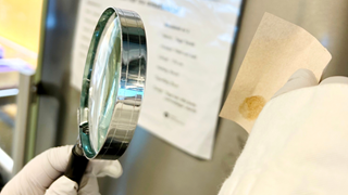 Hand som håller i ett förstoringsglas och undersöker ett fingeravtryck.