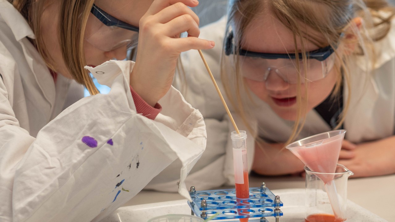 Kemiexperiment där besökarna fiska upp DNA från jordgubbar
