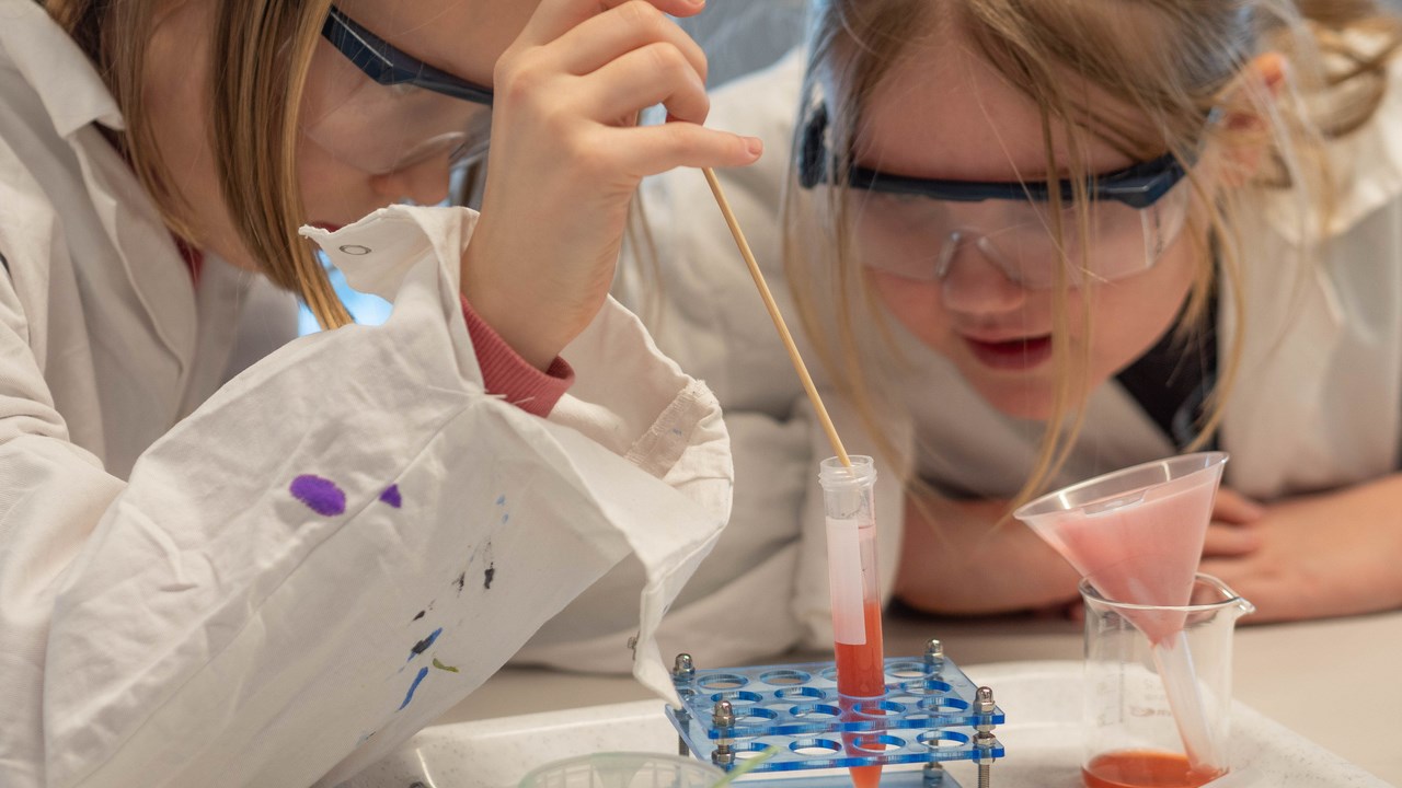 Kemiexperiment där besökarna fiska upp DNA från jordgubbar