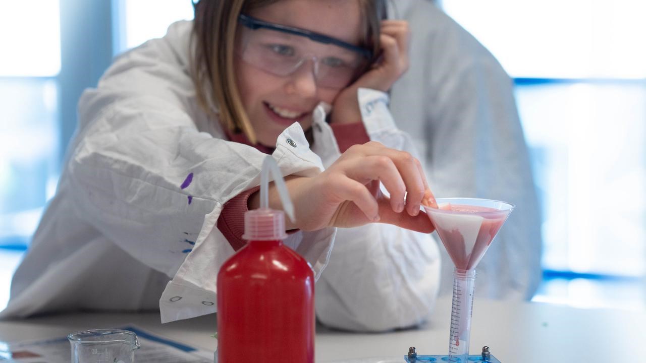 Kemiexperiment där besökarna fiska upp DNA från jordgubbar