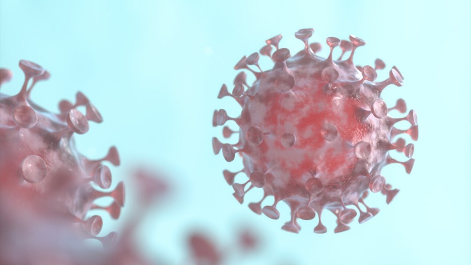 Mikroskopbild på Coronavirus
