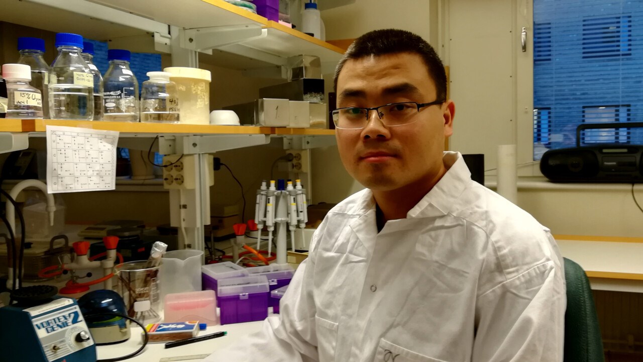 Fu Xu, molekyl&auml;rbiologi