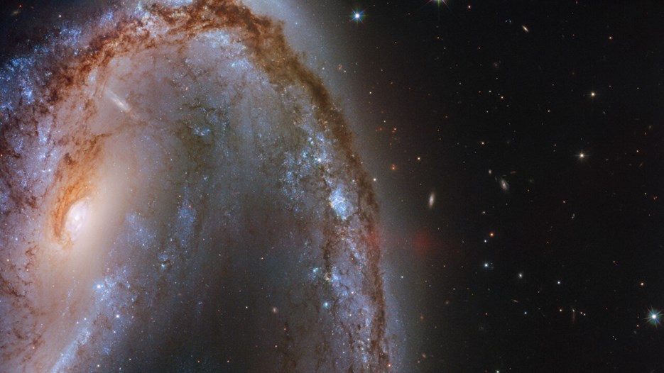 Galaxen NGC 2442