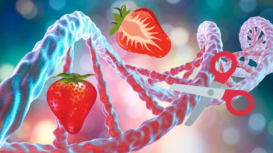 Film: Extrahera DNA ur jordgubbar