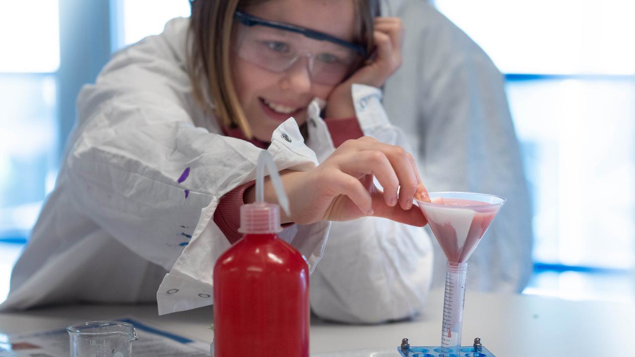 Kemiexperiment där besökarna fiska upp DNA från jordgubbar